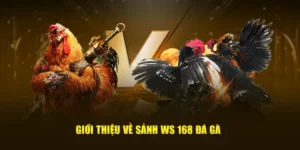 Bí Quyết Thắng Lớn Với Cách Chơi Đá Gà WS168 Tại V88 Hấp Dẫn Nhất